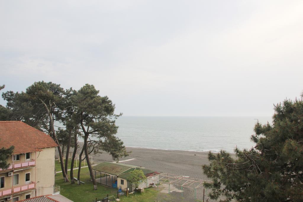 Apartment Near The Black Sea Ureki Exterior photo